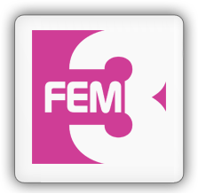 FEM3